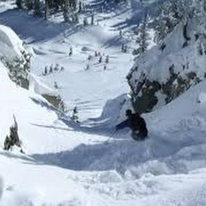 Meet your Posher, Logan